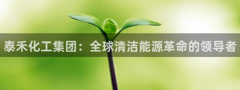 球盟会综合体育平台怎么样：泰禾化工集团：
