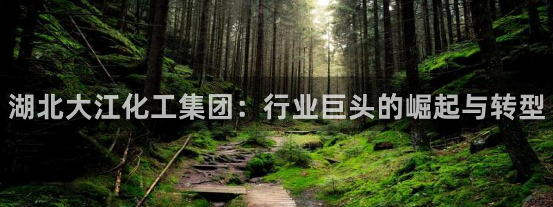 球盟会黑钱