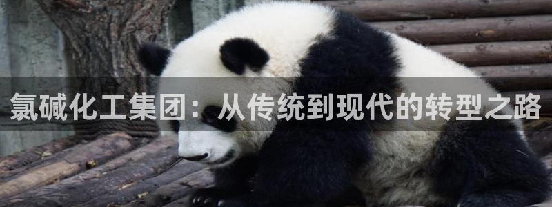 球盟会贴吧：氯碱化工集团：从传统到现代的转型之路