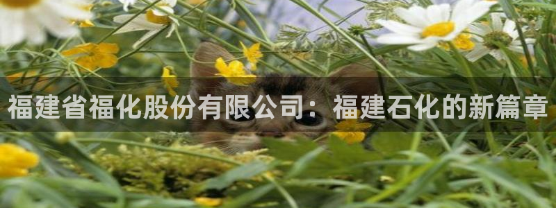 球盟会app网址多少：福建省福化股份有限公司：福建石化的新篇