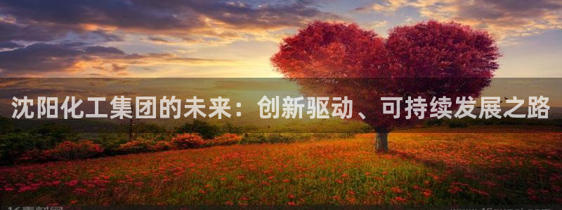 球盟会在线官网：沈阳化工集团的未来：创新驱动、可持续发展之路