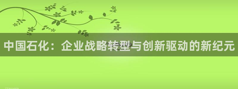 球盟会有没有黑单的球员：中国石化：企业战略转型与创新驱动的新