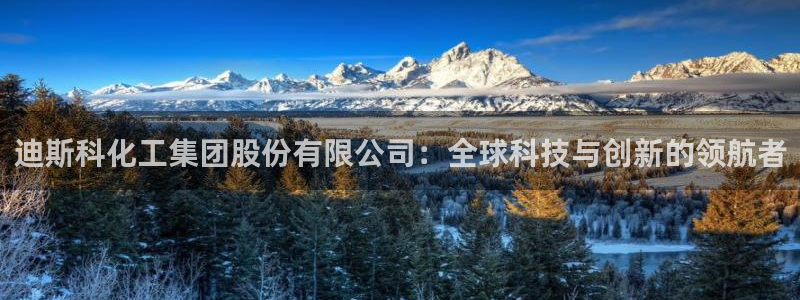 球盟会qmh官网：迪斯科化工集团股份有限公司：全球科技与创新