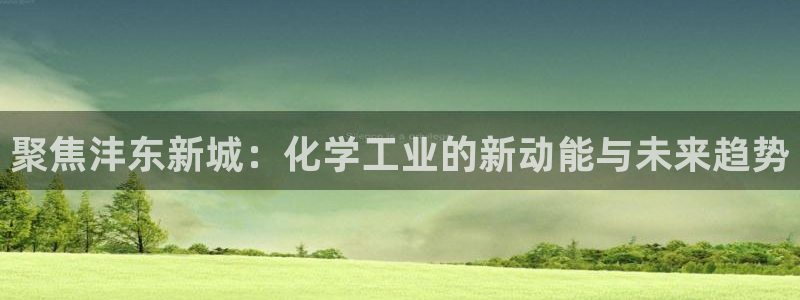 球盟会在线网站：聚焦沣东新城：化学工业的新动能与未来趋势