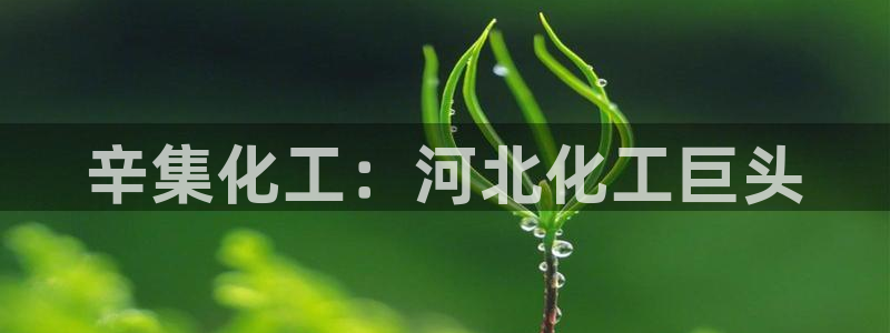 球盟会官方平台入口：辛集化工：河北化工巨头