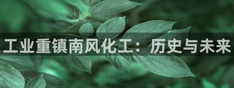 球盟会里面有打牌的嘛知乎