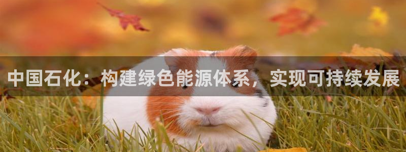 球盟会贴吧：中国石化：构建绿色能源体系，实现可持续发展