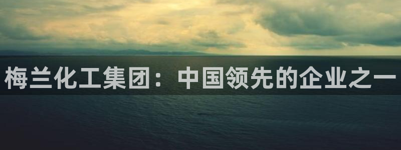 球盟会app最新地址在哪看：梅兰化工集团：中国领先的企业之一