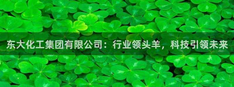 球盟会几点玩合适：东大化工集团有限公司：行业领头羊，科技引领