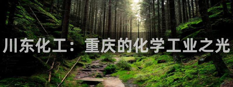 球盟会黑台：川东化工：重庆的化学工业之光