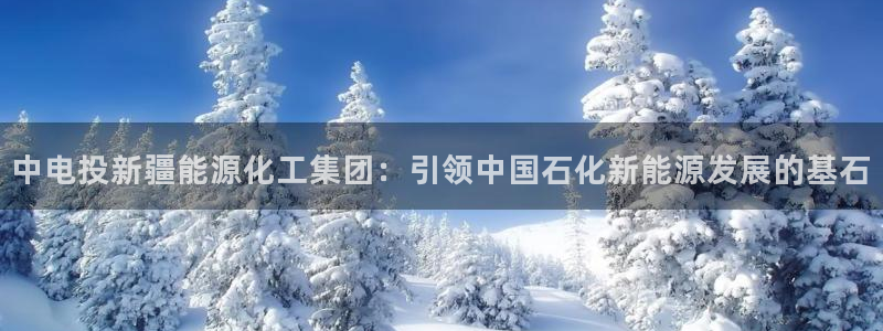 球盟会在线登录官网：中电投新疆能源化工集团：引领中国石化新能