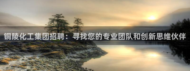 球盟会平台会黑单吗：铜陵化工集团招聘：寻找您的专业团队和创新