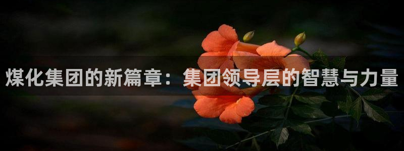 球盟会官方入口：煤化集团的新篇章：集团领导层的智慧与力量