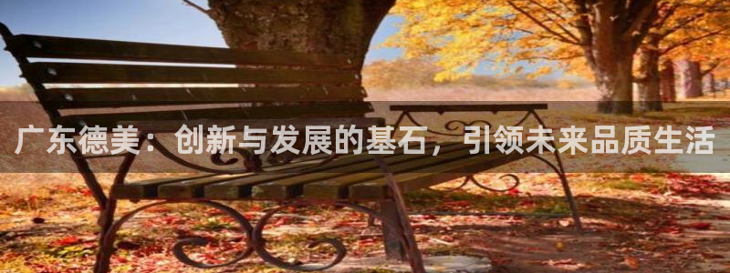 球盟会封禁：广东德美：创新与发展的基石，引领未来品质生活