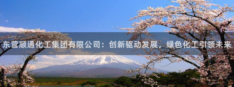 球盟会官方网站：东营顺通化工集团有限公司：创新驱动发展，绿色