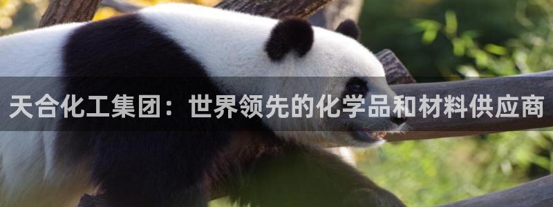 球盟会进不去球员吗