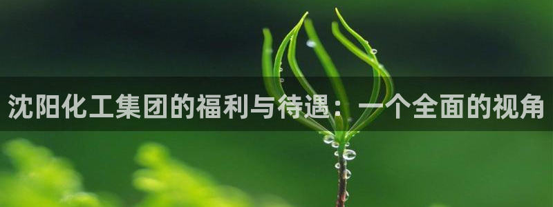 球盟会官方网站是什么：沈阳化工集团的福利与待遇：一个全面的视