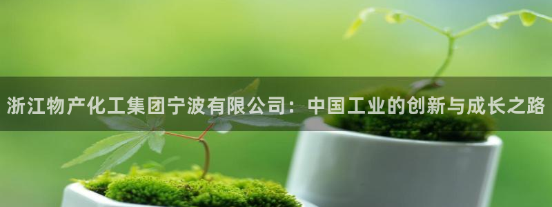 球盟会中国网页登录：浙江物产化工集团宁波有限公司：中国工业的