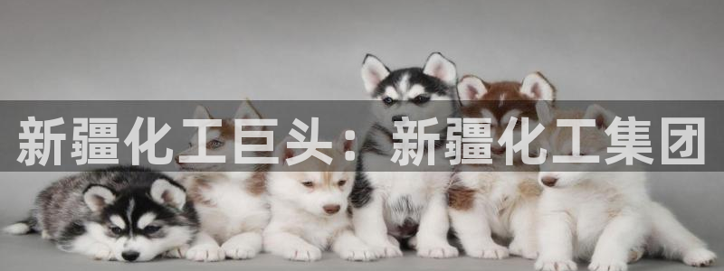 球盟会官方平台入口