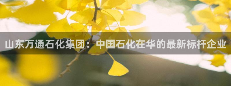 球盟会app最新地址在哪看：山东万通石化集团：中国石化在华的