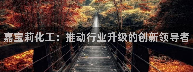 球盟会进不去吗：嘉宝莉化工：推动行业升级的创新领导者