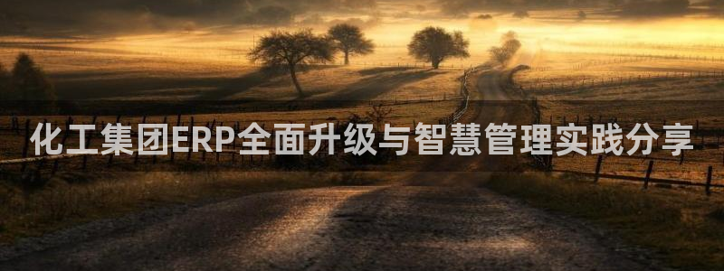 球盟会官方网站app：化工集团ERP全面