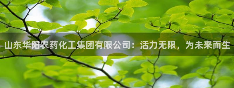 球盟会app最新地址在哪：山东华阳农药化工集团有限公司：活力
