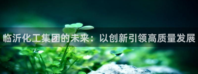 球盟会官方下载