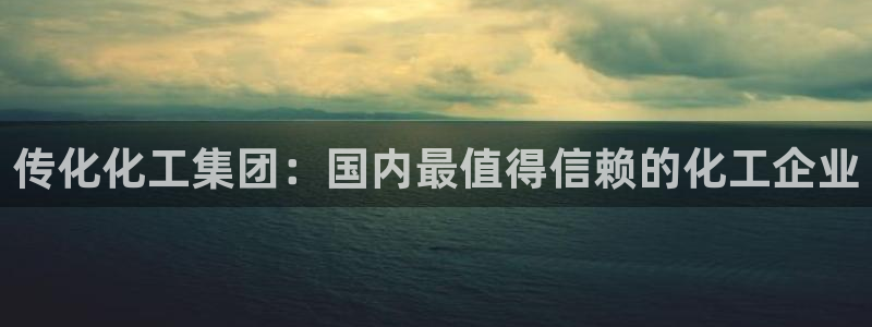 球盟会APP下载：传化化工集团：国内最值