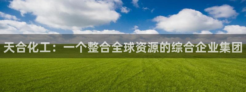 球盟会进不去吗：天合化工：一个整合全球资