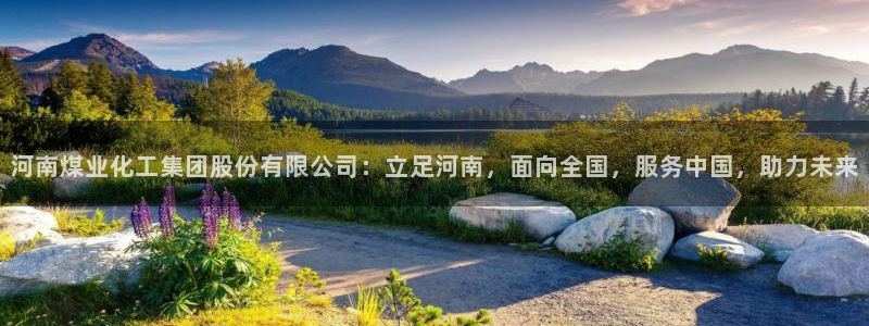 球盟会app最新地址下载安装：河南煤业化