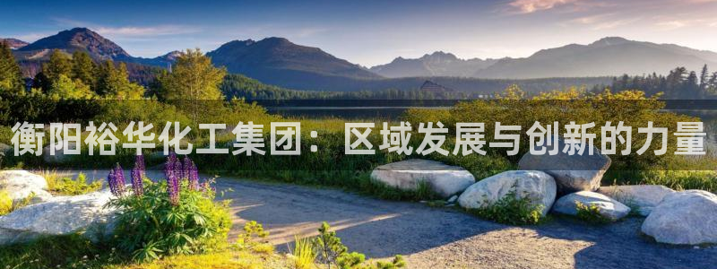 球盟会网址多少：衡阳裕华化工集团：区域发