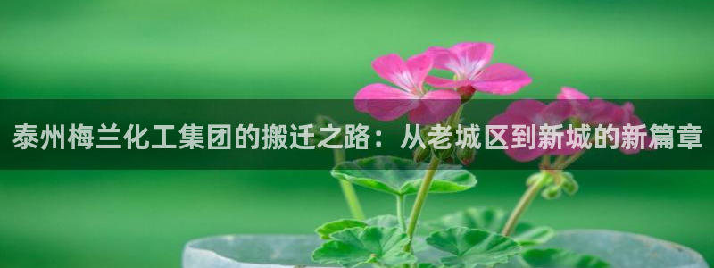 球盟会网页登录入口：泰州梅兰化工集团的搬