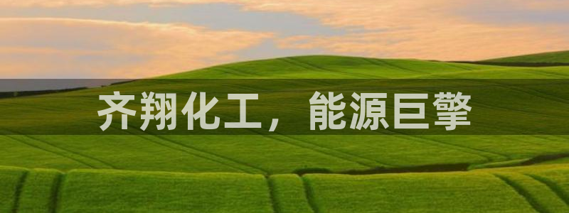 球盟会最新：齐翔化工，能源巨擎