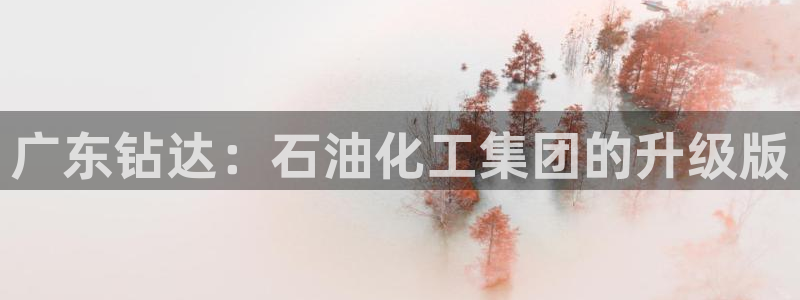 球盟会qm：广东钻达：石油化工集团的升级