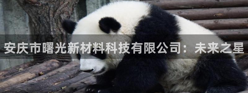 球盟会下款快吗：安庆市曙光新材料科技有限