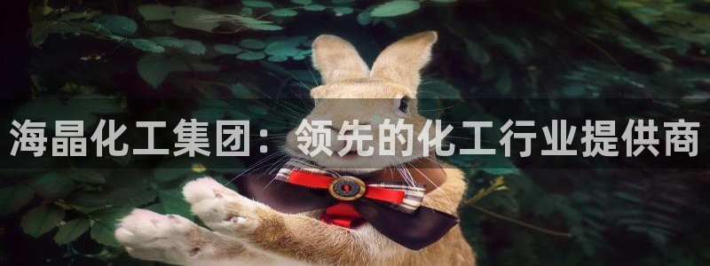 球盟会app最新地址在哪看：海晶化工集团