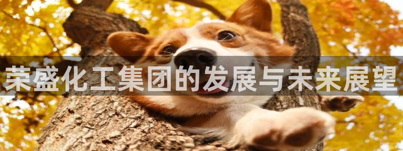 球盟会App：荣盛化工集团的发展与未来展