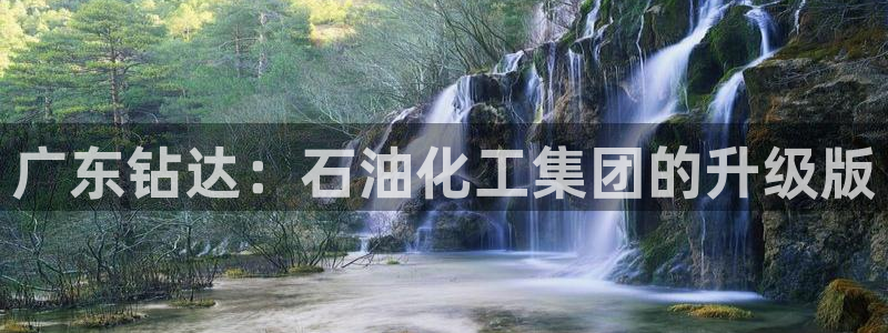 球盟会入口：广东钻达：石油化工集团的升级