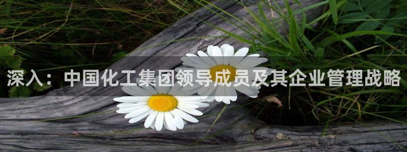 球盟会黑台子吗