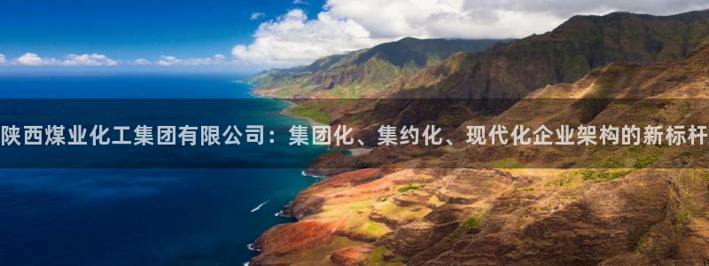 球盟会黑钱：陕西煤业化工集团有限公司：集