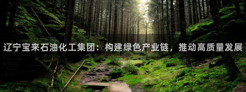 球盟会能提现吗是真的吗：辽宁宝来石油化工