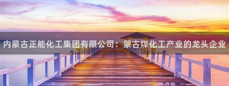 球盟会官方入口：内蒙古正能化工集团有限公