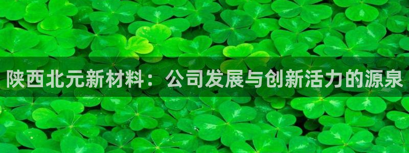 球盟会唯一：陕西北元新材料：公司发展与创